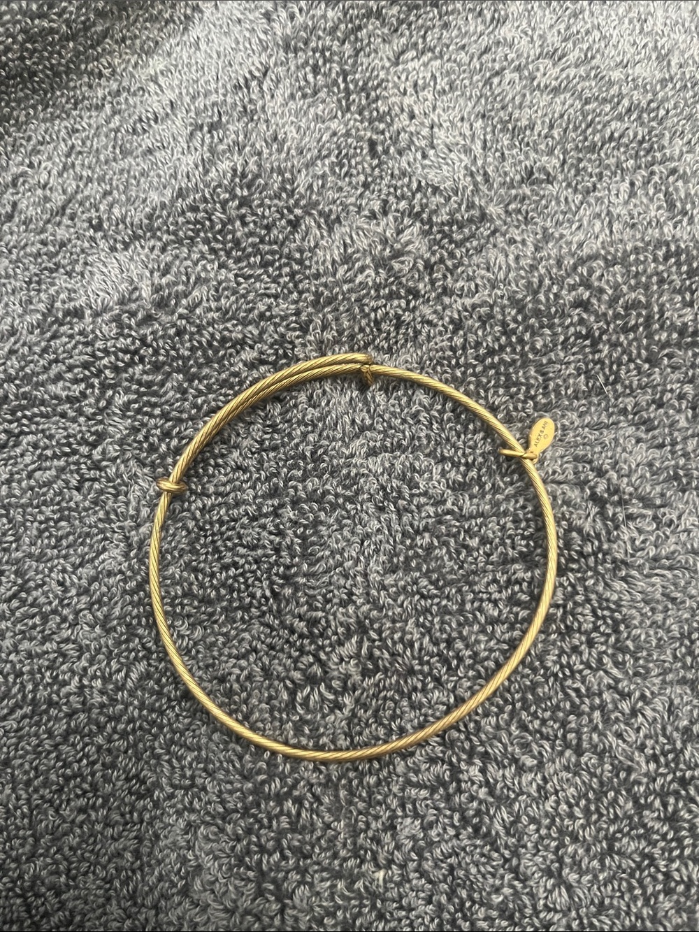 Alex and Ani Gold-Tone Bangle Bracelet - Women's Jewelry